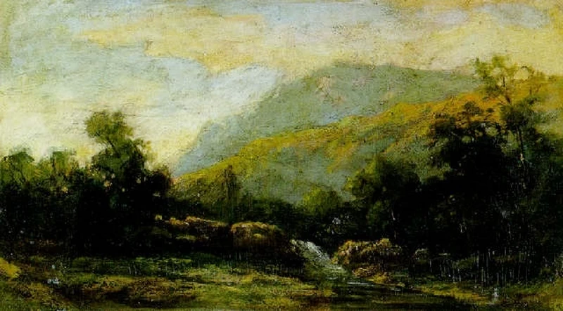 Cascatella tra la boscaglia sotto il salice